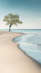 A tree is standing on a beach next to the ocean