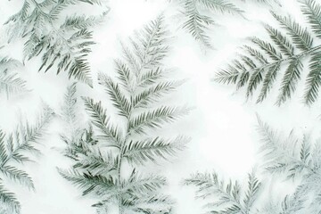 Snow-covered fern fronds create a delicate, wintery scene, evoking serenity and natural beauty.