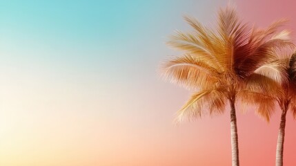 A visually appealing image featuring palm trees silhouetted against a soft gradient sky, evoking feelings of relaxation, tranquility, and the essence of summer.