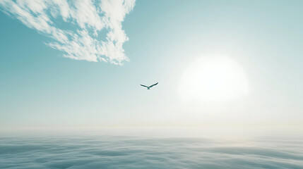 Fototapeta premium A bird is flying in the sky above a large body of water
