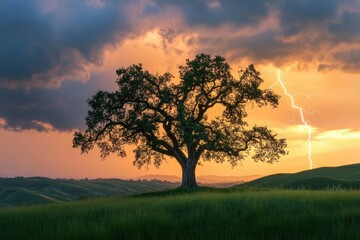 Obraz premium A majestic oak tree stands silhouetted against a vibrant sunset, a lightning bolt striking the dramatic sky.