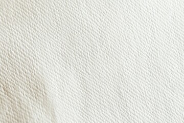 Close-up view of a smooth, off-white fabric with subtle texture.  Fine, linear patterns create a subtle, woven effect