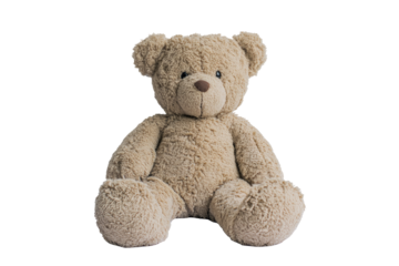Beige teddy bear sits, facing forward