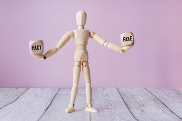 Fake or fact on a head, false and truth information, propaganda
