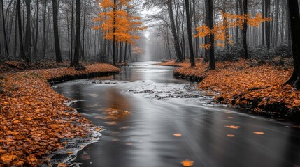 Foggy autumn forest scene with vibrant foliage reflecting in the gentle flowing river, creating a serene environment