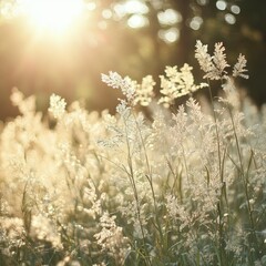 Golden sunlight filters through meadow grasses