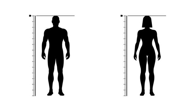 Men and women measuring height Animation, Transparent Background