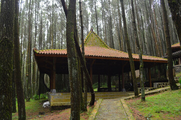 Rumah Joglo, a traditional javanese house made of teak wood walls and clay tile roof.
