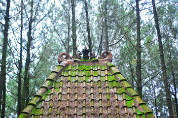traditional Joglo house roof, Joglo house carvings, old red roof tiles with clay that forms a pattern, dirty roof tiles, Javanese house tiles, Joglo house tiles
