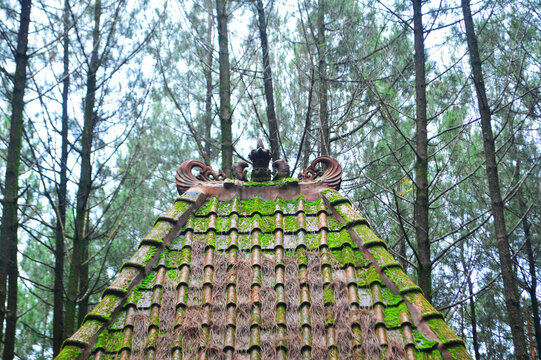 traditional Joglo house roof, Joglo house carvings, old red roof tiles with clay that forms a pattern, dirty roof tiles, Javanese house tiles, Joglo house tiles
