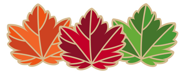 Maple Leaves
