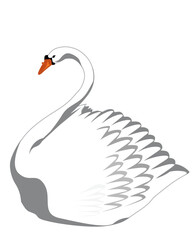Swan Boat