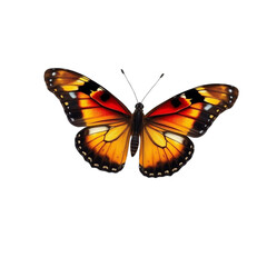 Obraz premium Butterfly with Open Wings on Transparent Background