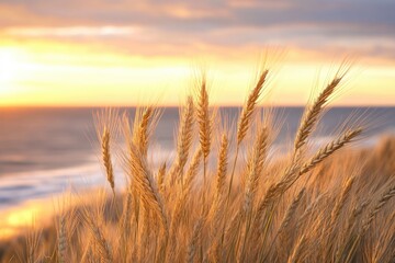Obraz premium Golden wheat field swaying in the wind at sunset, a serene and picturesque agricultural landscape.