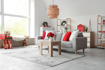 Interior of light living room with sofa and Christmas plant poinsettia on table