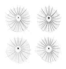 Fototapeta premium Intricate Black Spiderwebs with Shimmering Strands Captured in Detail, Isolated on Transparent Background