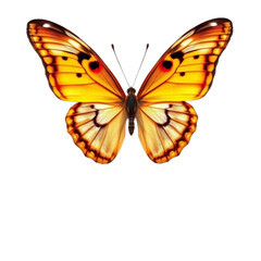 Obraz premium Butterfly with Open Wings on Transparent Background