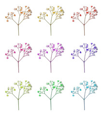 Gypsophila branch with small flowers in different colors on white background, set
