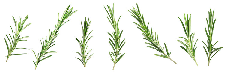 Fresh aromatic rosemary isolated on white, collage