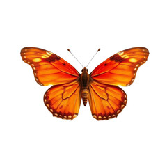 Butterfly with Open Wings on Transparent Background
