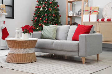 Interior of living room with sofa, fir tree and Christmas plant poinsettia on table