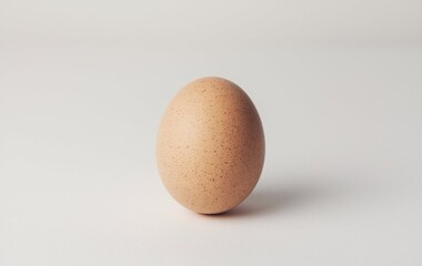A single egg isolated on white background