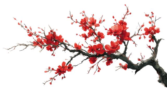 Tree Branch with Red Flower Transparent Background

