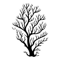 Monochrome arboreal silhouette showcases branching complexity against stark backdrop