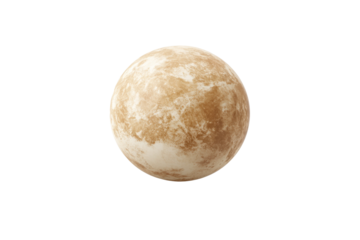 Round object with a brown and white surface, isolated