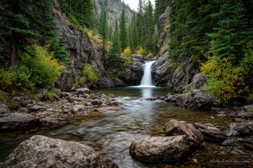 Fototapeta premium Waterfall cascading into a rocky stream surrounded by tall trees