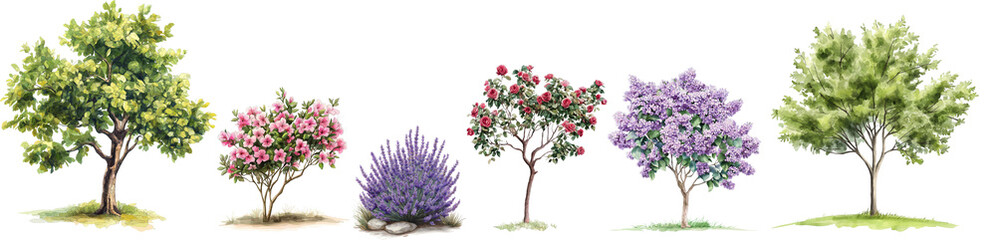Obraz premium Watercolor Tree and Shrub Collection for Garden Scenes