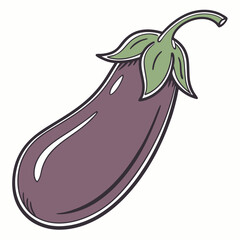 eggplant vegetable vector illustration