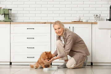 Mature woman feeding cute Pomeranian dog in kitchen