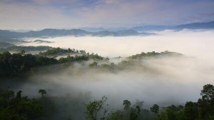 The morning fog evaporating from the valley of the Phetchaburi river and can be seen in the early morning from the viewpoints at Panoenthung. Kaeng Krachan national park. Petchaburi province,Thailand