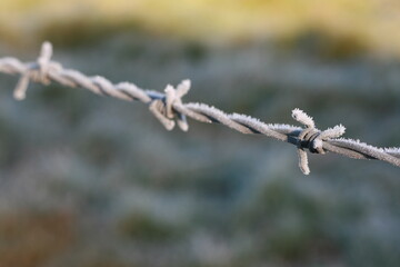 Barbed wire in the frost 