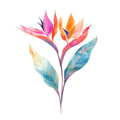 Obraz premium Bird of paradise flower png