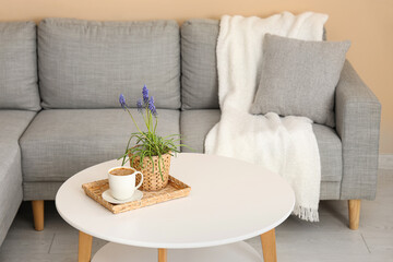 Beautiful Muscari flowers and cup of coffee on table near sofa