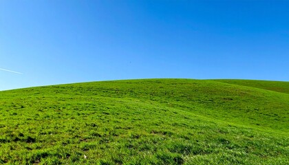 Fototapeta premium 広がる緑の丘と澄み渡る青空が作り出す、穏やかで清々しい風景。シンプルで自然豊かな風景が心を落ち着ける瞬間