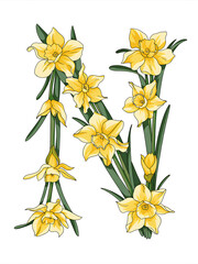 Yellow Daffodil Botanical Illustration – Spring Flower Art
