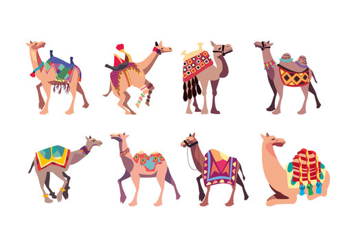 Colorful Bikaner Decorative Animal Illustration Icons Set