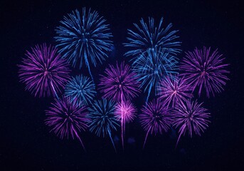 Fototapeta premium Fireworks display in the night sky