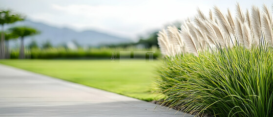 Outdoor Lush Green Grassy Landscape With White Plants