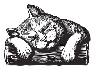 Resting Cat Illustration in Woodcut Style with Detailed Features