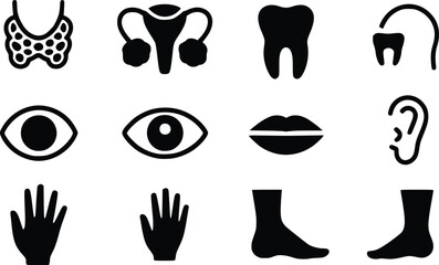 Visualize the Body: Dynamic Human Anatomy Icon Collection