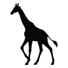 Giraffe Silhouette
