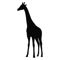 Giraffe Silhouette