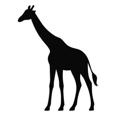 Giraffe Silhouette