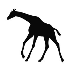 Giraffe Silhouette