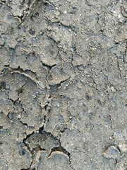 Cracked Dry Earth Surface Texture Close Up