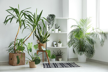 Rack with green plants near white wall in room
